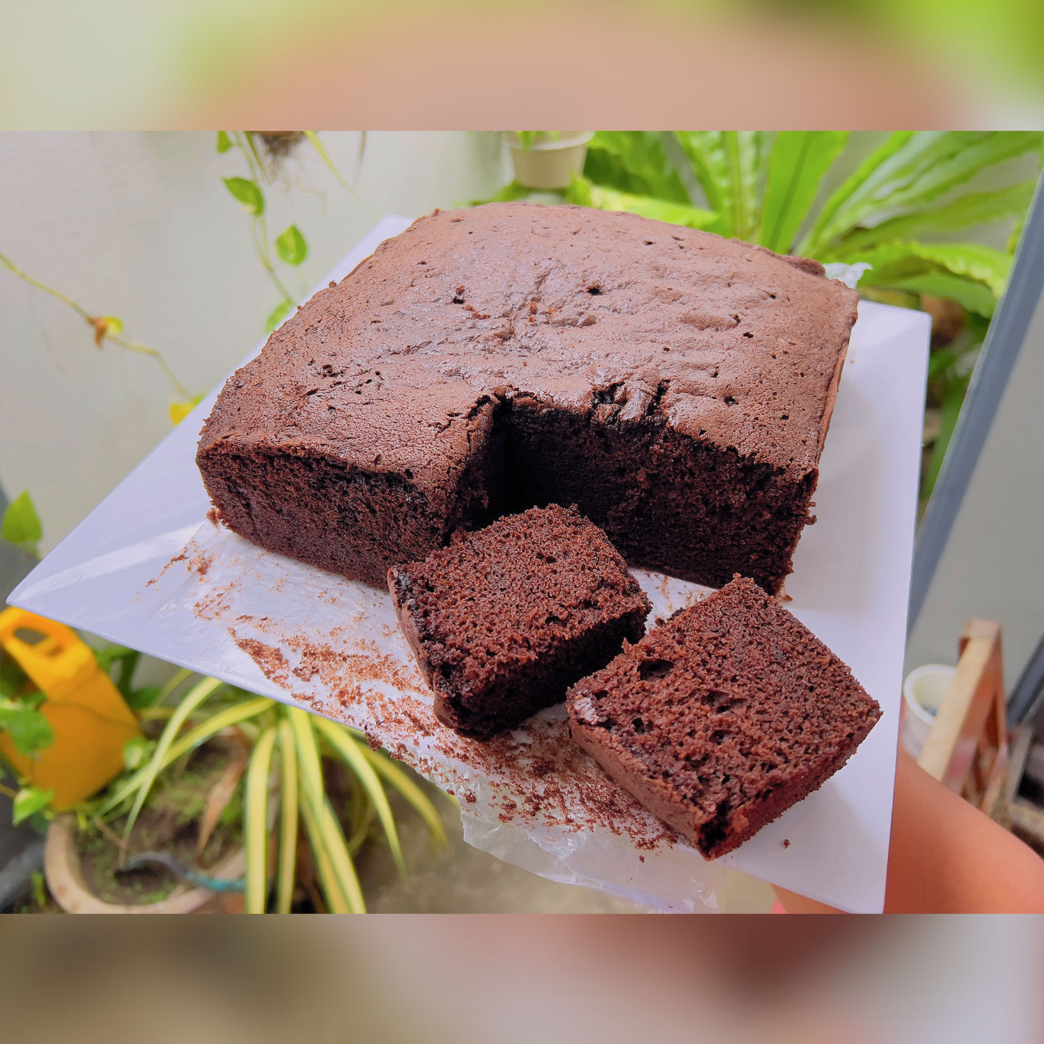 Chocolate Cake Piece - 1KG gallery image